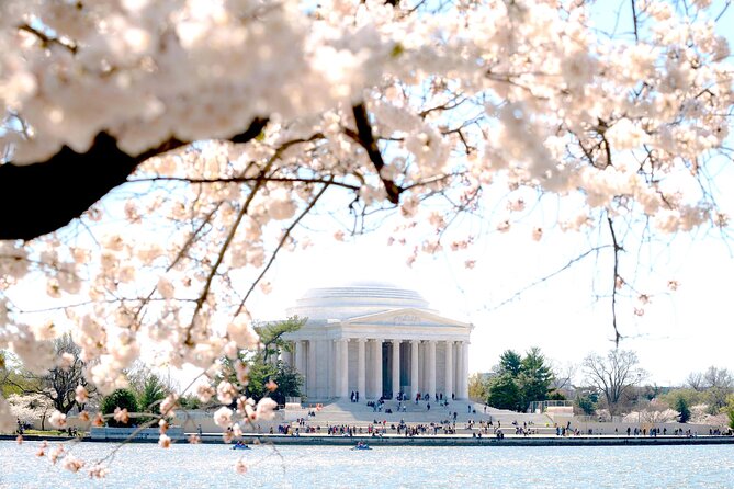 National Mall & Cherry Blossoms Tour with Optional Museum Tickets - Museum upgrades: Air and Space, African American History and Culture, Washington Monument