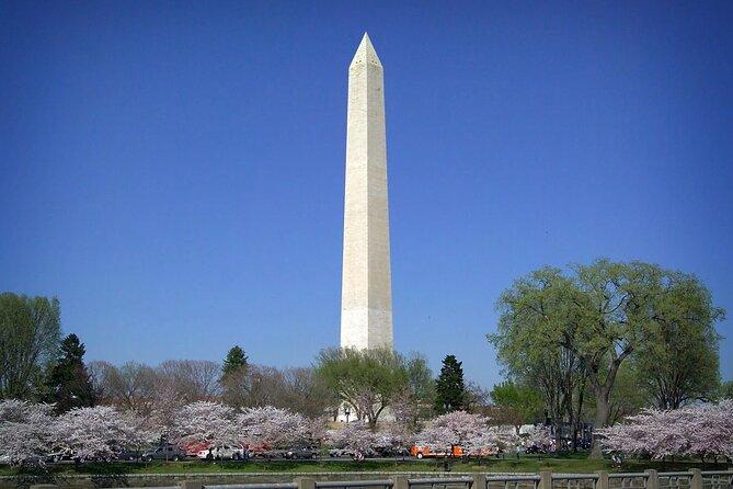 National Mall & Cherry Blossoms with Washington Monument Ticket - A National Mall morning built around photos and timing