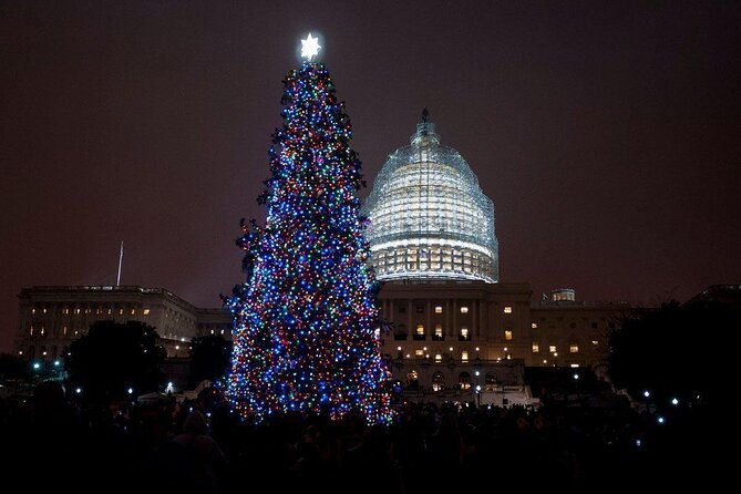 National Mall Monuments Night Tour with 10+ Stops, Entry Tickets - Quick hits you will actually feel