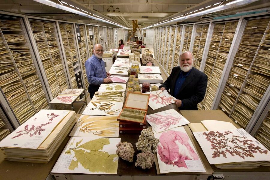 Natural History Museum & American History Museum - Tickets, Security, and Bag Rules That Can Affect Your Day