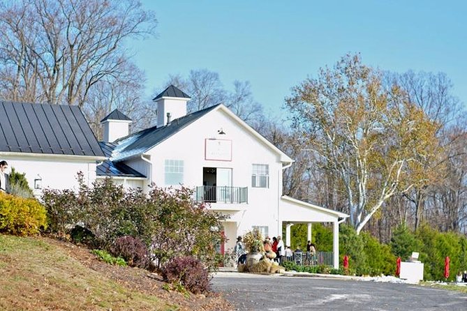 Northern Virginia Private Custom Wine Tour and Tasting from DC - Stop 1 at Three Fox Vineyards and Brewery: your first tasting hour