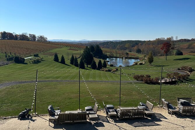 Northern Virginia Private Custom Wine Tour and Tasting from DC - Stop 2 at Blue Valley Vineyard and Winery: more time to slow down