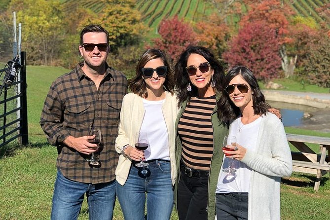 Northern Virginia Private Custom Wine Tour and Tasting from DC - Lunch, admission, and the practical costs most people forget