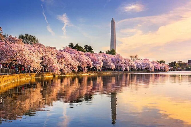 NYC to D.C Day Trip: Thomas Jefferson Memorial to Cherry Blossoms - Key things you should know before you go