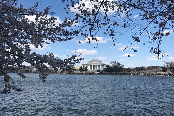 NYC to D.C Day Trip: Thomas Jefferson Memorial to Cherry Blossoms - Stop 1, The Thomas Jefferson Memorial: the anchor of the day