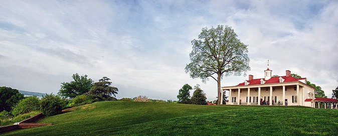Old Town, Alexandria and Mount Vernon Private Tour - Private Touring With a Live Guide: What You Gain Beyond Admission