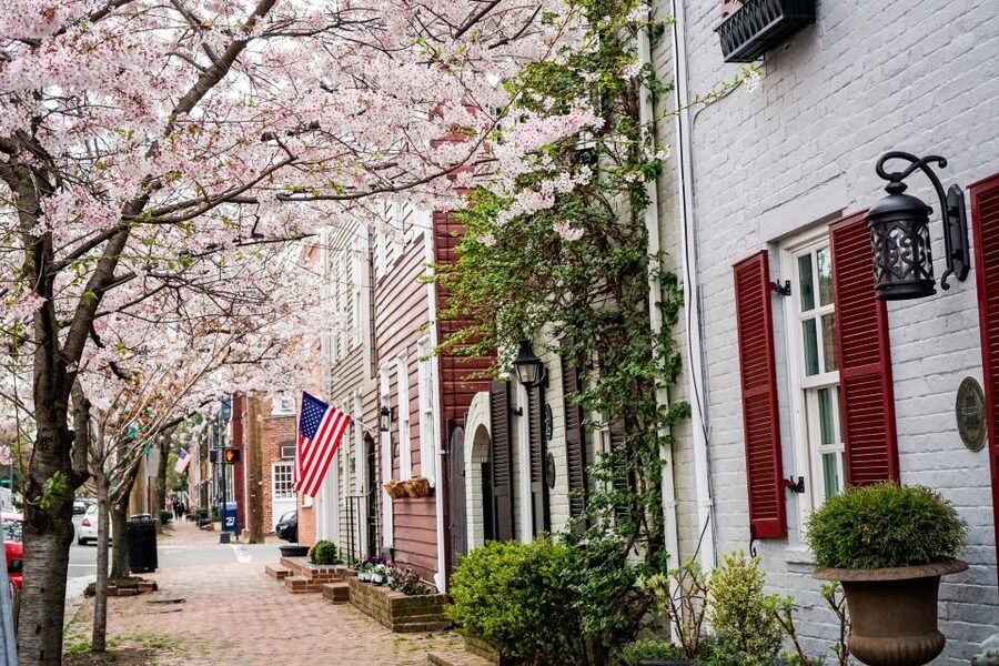Old Town Alexandria: Southern Comfort Food & History Tour - Old Town streetscapes, waterfront views, and public art with a purpose