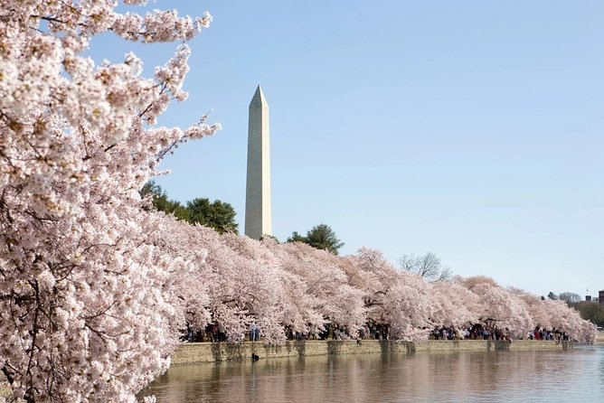 Presidential DC: Capitol Hill + DC Bus Tour, US Capitol Entry - Price and value: is $59 a smart way to see Presidential DC?