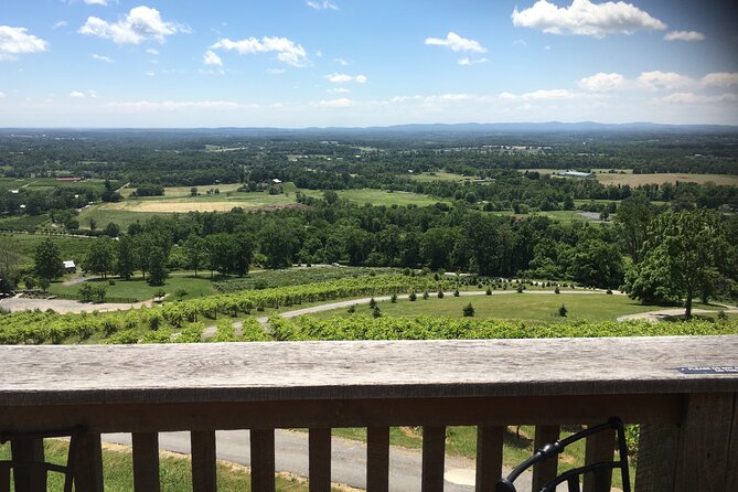 Private Loudoun County Wine Tour from DC with 3 Winery Stops - Stop 3: Casanel Vineyards and Winery, where admission may cost extra