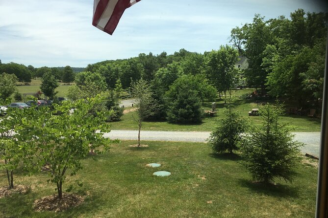 Private Loudoun County Wine Tour from DC with 3 Winery Stops - The car, pickup, and the driver experience that makes the day work