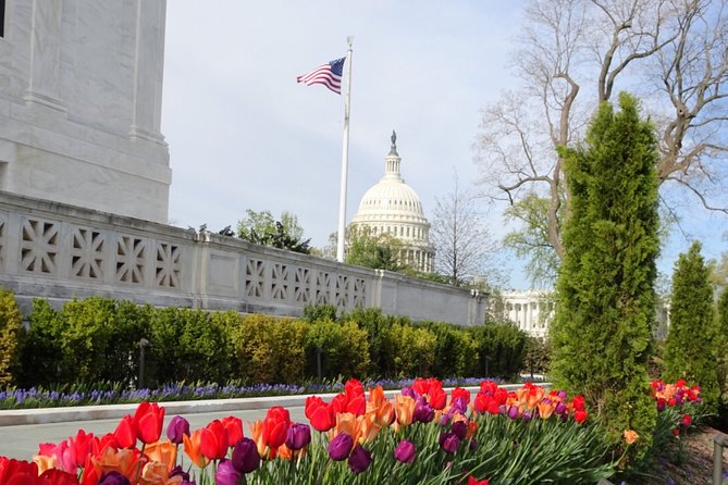 Private Multilingual DC City Tour (Spanish, Portuguese, English) - Hotel pickup, private vehicle, and small-group comfort