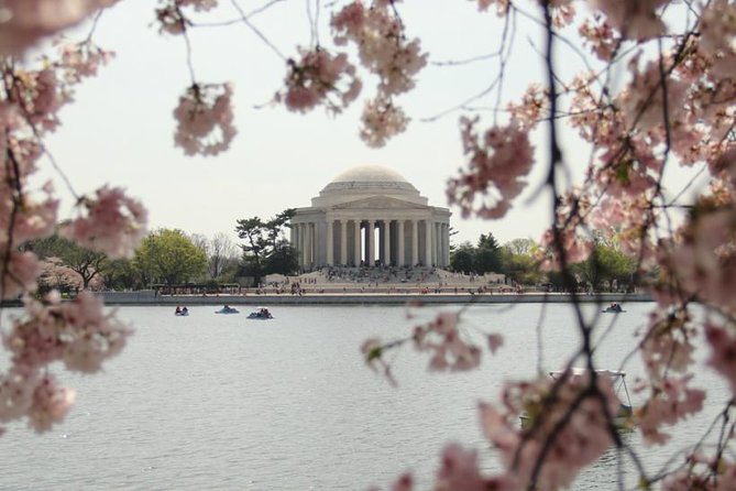 Private Pedicab Tour of DC Monuments and Memorials - When to Go: Weather and Daylight Really Change the Mood