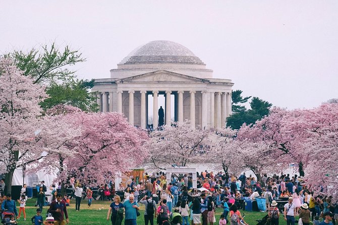 Private Washington DC City Tour - Why this private DC half-day loop feels worth the price