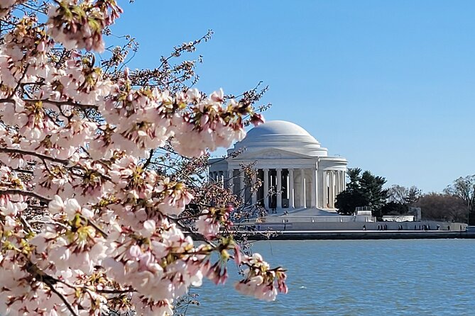 Private Washington DC Tour with Changing of the Guard Ceremony - Quick reasons this tour is worth your time