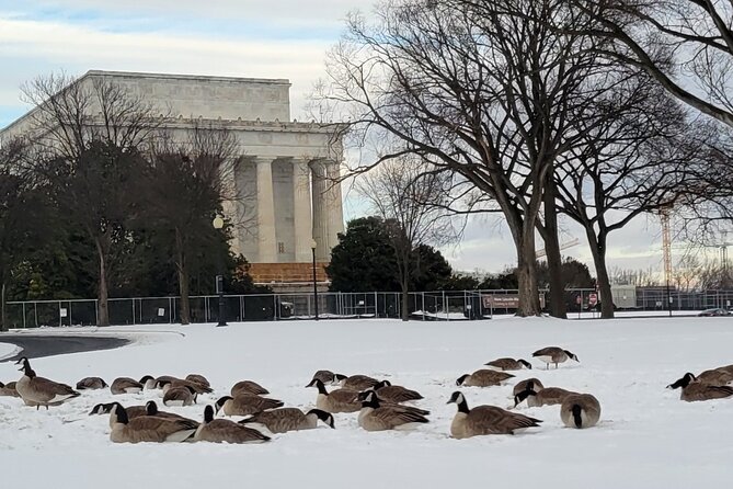 Private Washington DC Tour with Changing of the Guard Ceremony - National Mall memorials: WWII, Lincoln, Vietnam, Korean War, and MLK Jr.