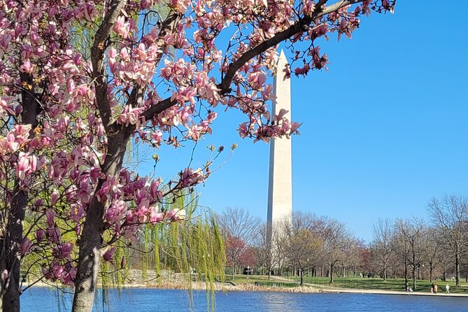 Private Washington DC Tour with Changing of the Guard Ceremony - Pacing, photos, and comfort tips that make the day easier