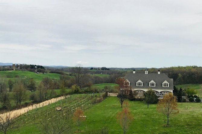 Private Washington DC Virginia Winery Wine Tasting Tour - Pickup at The Wharf, your timing, and what to expect on the road