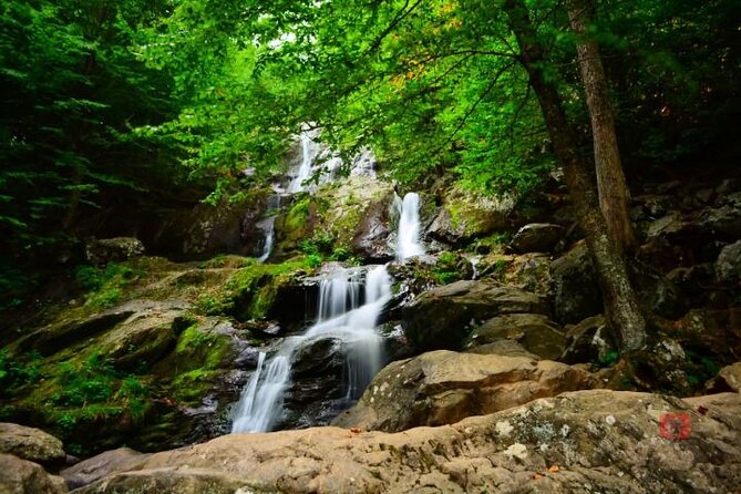 Self-Guided Audio Driving Tour in Shenandoah National Park - Big Meadows at the halfway point: wildlife chances and wildfire rebuilding