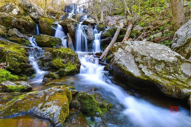 Self-Guided Audio Driving Tour in Shenandoah National Park - Corbin Cabin and Camp Rapidan: haunted stories plus Hoover-era history