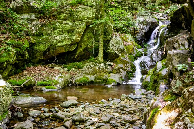 Shenandoah National Park Self-Guided Driving Audio Tour - What tends to work best, and what can frustrate you