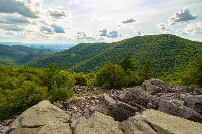 Shenandoah National Park Self-Guided Driving Audio Tour - Who this audio tour is best for
