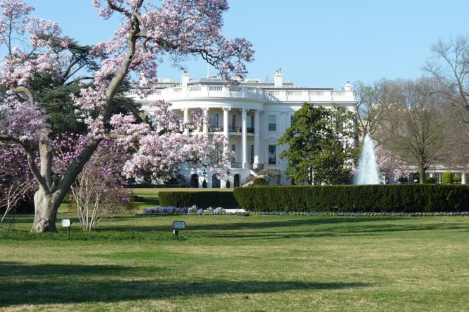 Small Group Tour of DC - Open-Top or Glass Convertible Luxury Bus - Kennedy Center time in winter, Georgetown on the water in summer