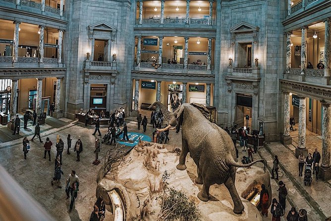 Smithsonian Museum of Natural History - Exclusive Guided Tour - A Two-Hour Tour That Turns a Giant Museum Into a Plan