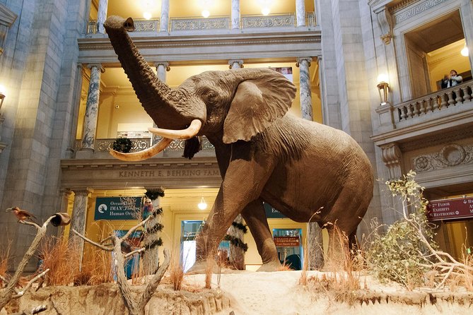 Smithsonian Museum of Natural History - Exclusive Guided Tour - Meeting Point, Start Times, and Getting In Smoothly