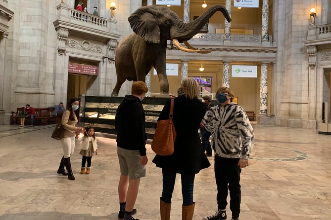 Smithsonian Museum of Natural History Guided Tour - How the Best Guides Keep Everyone Engaged