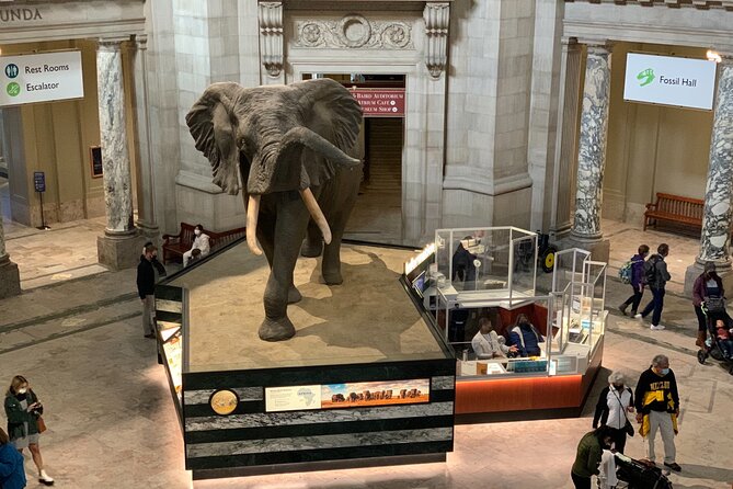 Smithsonian Museum of Natural History Guided Tour - Common Snags to Plan Around (So Your Tour Day Stays Smooth)