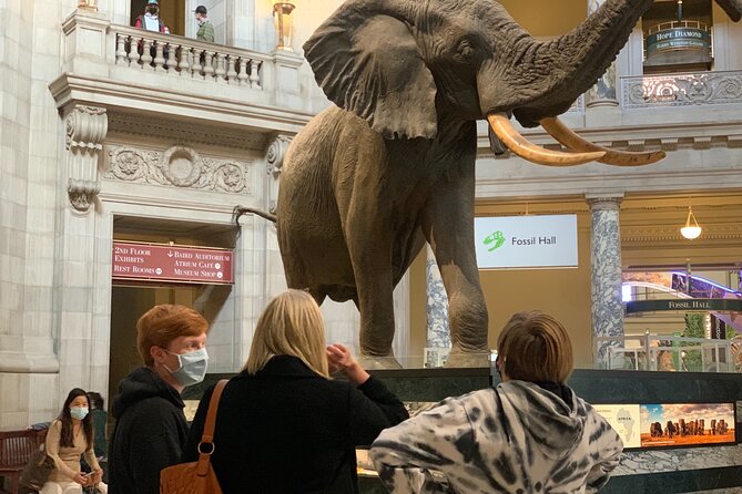 Smithsonian Museum of Natural History Guided Tour - Who Should Book This Tour, and Who Might Skip It