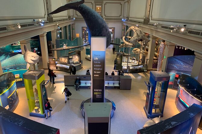 Smithsonian Museum of Natural History Guided Tour - Meeting Point, Timing, and What to Expect at the Start