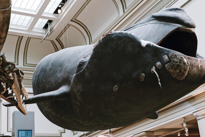 Smithsonian Museum of Natural History Small Group Tour: 8ppl Max - What You Should Wear, Pack, and Expect to Walk