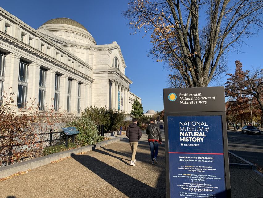 Smithsonian National Museum of Natural History Guided Tour - A Smart 2-Hour Route Through the Smithsonian Natural History Museum