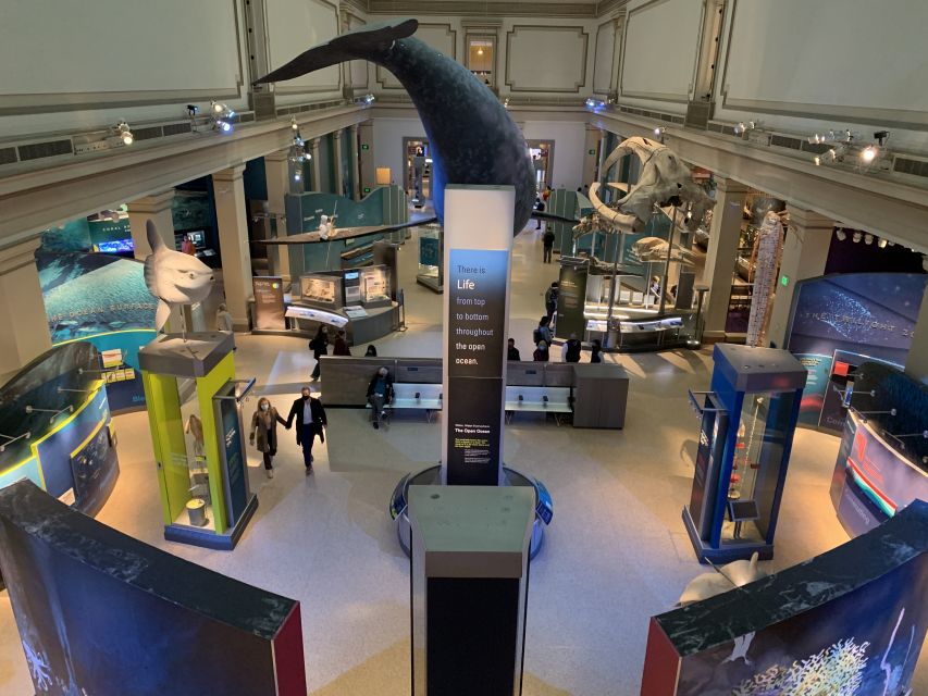 Smithsonian National Museum of Natural History Guided Tour - Fossils, Tools, Gems, and Mummies: The Highlights You Will Actually Reach