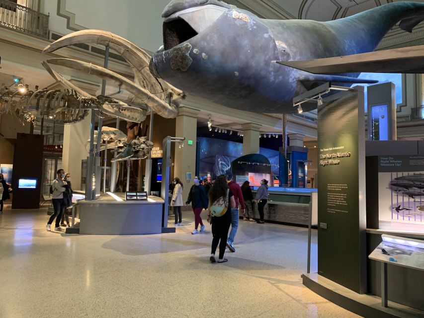 Smithsonian National Museum of Natural History Guided Tour - Guides Who Bring the Collections to Life (Nur, DC, Maurice)