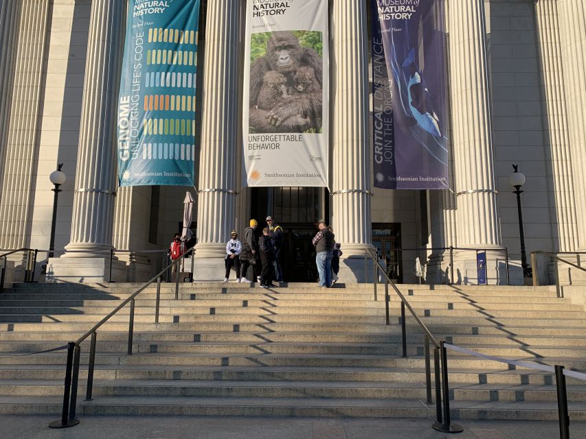 Smithsonian National Museum of Natural History Guided Tour - Price and Value: Paying for Direction in a Free Museum