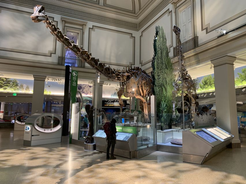 Smithsonian National Museum of Natural History Guided Tour - What Can Feel Rushed, and How to Make It Work for Your Style