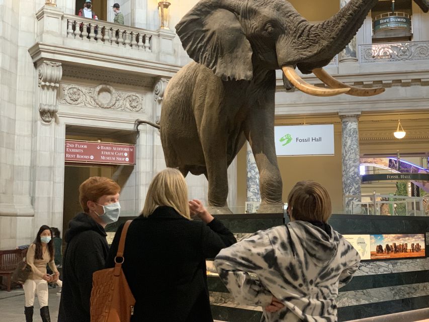 Smithsonian National Museum of Natural History Guided Tour - Should You Book This Smithsonian Guided Tour?