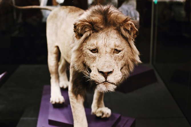 Smithsonian Natural History + Museum of American History 8ppl Max - How the Guide Makes This Combo Feel Worth the Money