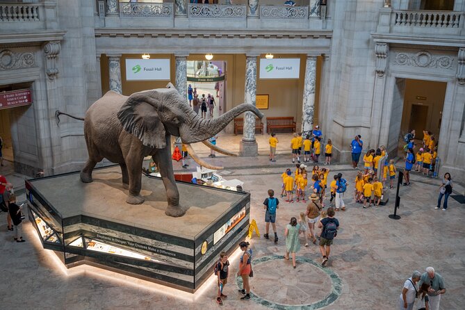 Smithsonian Natural History Museum Semi-Private Guided Tour - Key Points to Know Before You Go