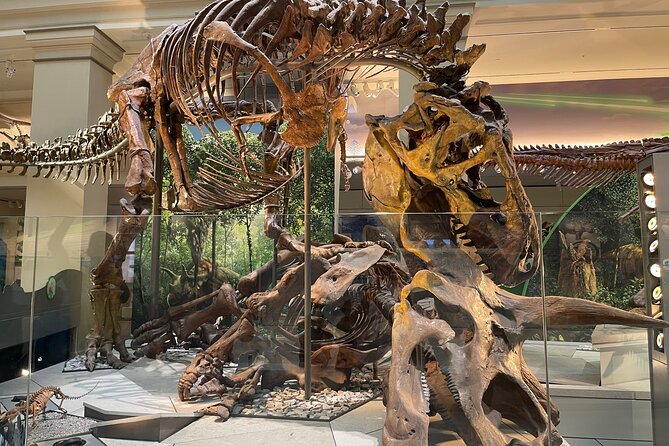 Smithsonian Natural History Museum Semi-Private Guided Tour - A Smart Shortcut Through Smithsonian’s Biggest Hits