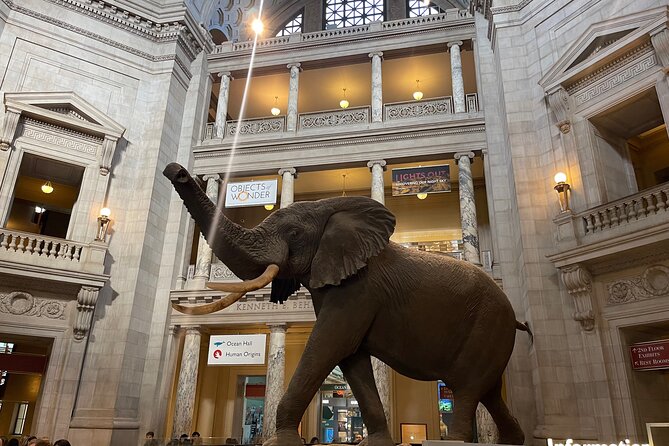 Smithsonian Natural History Museum Semi-Private Guided Tour - Meeting at Unscripted, Then Getting Oriented Fast
