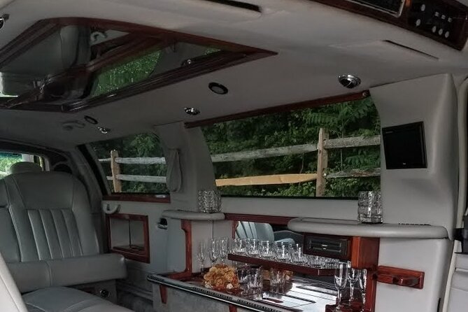 Stretch Limo Private Day & Night Custom Tours of Washington DC - What the Stops Feel Like, Including the Drive-By Museums