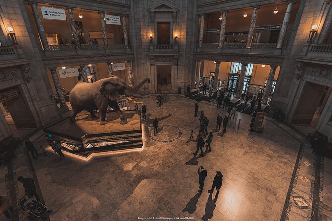 Two Smithsonian Museums Private Tour: American & Natural History - American History Museum stop, from politics to presidents
