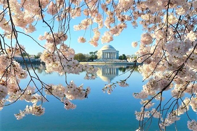 Ultimate Private City Tour of Washington DC - Up to 5 Guests - Choosing your must-sees, then using the timed stops wisely