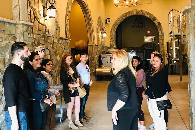 Virginia Wineries Guided Tour and Tastings from Washington DC - The Winery Stops: Blue Valley and Philip Carter, With Route Swaps