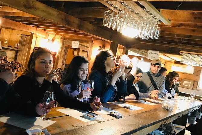 Virginia Wineries Guided Tour and Tastings from Washington DC - What Happens During Tastings, Tours, and the Snack Rhythm