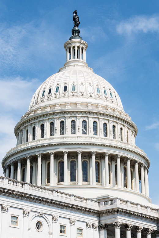 Washington D.C. 1 Day Tour from New York City - Who this Washington D.C. day trip is best for