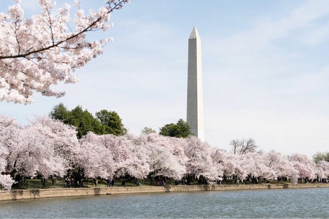 Washington, D.C. Private 4-Hour Day Tour - Route planning tips: how to prepare so the schedule feels easy
